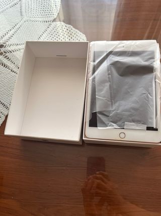 iPad mini 5 (256 GB – WiFi + Celular) Impecable