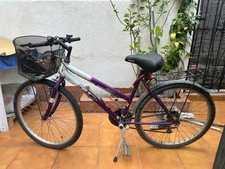 Bicicleta Morada con Cesta y Portabultos