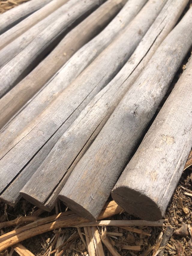 25 Troncos de Madera Natural 50-55 cm