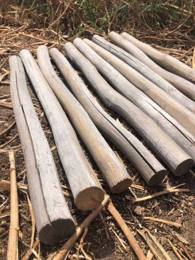 25 Troncos de Madera Natural 50-55 cm