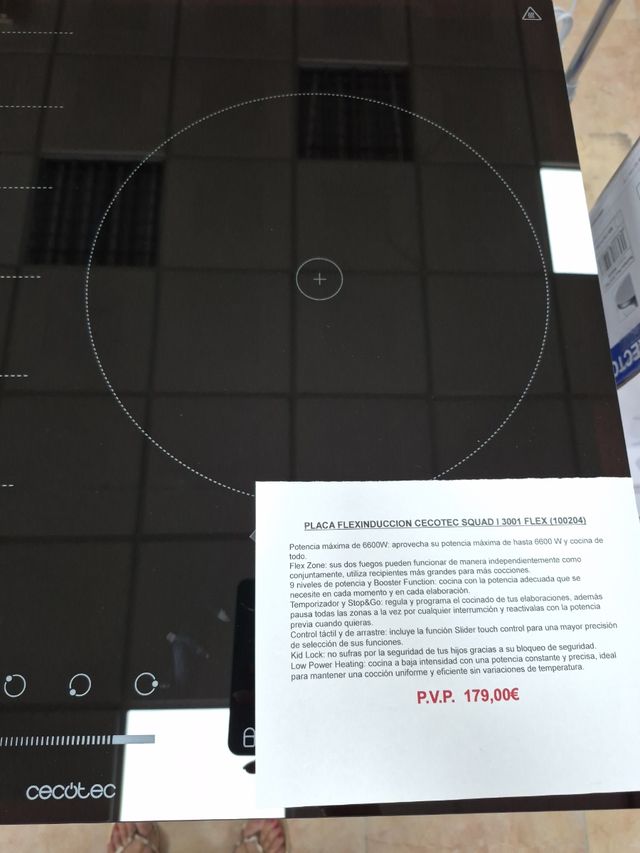 Placa Flexinducción Cecotec Squad 3001 Flex
