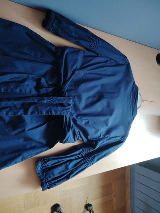 Blusa Larga Entallada Azul de manga francesa.