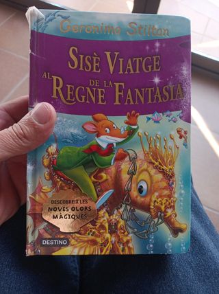 Sisè viatge reine fantàstic