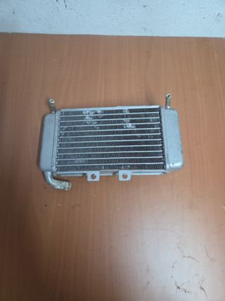 Radiador Piaggio NRG 49