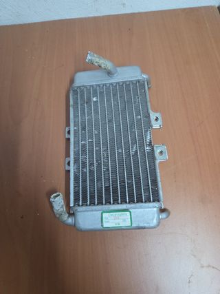 Radiador Piaggio NRG 49