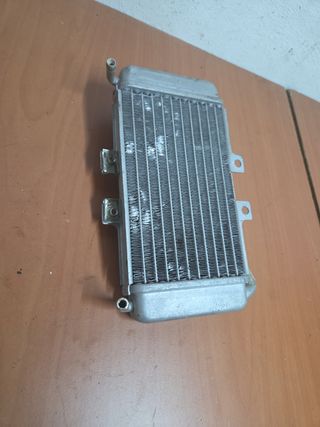 Radiador Piaggio NRG 49
