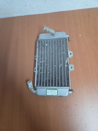 Radiador Piaggio NRG