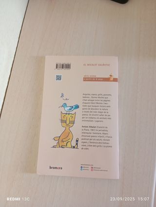 Libro Quines besties