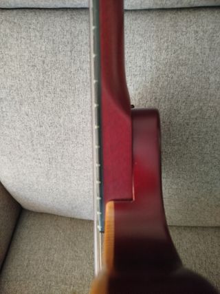 Godin ACS Slim, midi, cuerdas nylon

