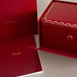 SUPER OFERTA! Cartier Santos Mediano WSSA0029