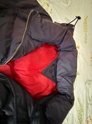 Plumas Tommy Hilfiger Azul