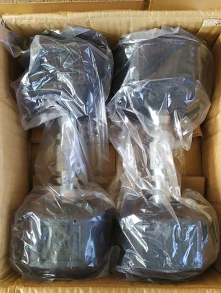 Mancuernas CrossFit 10kg.