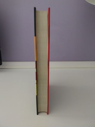 El chico salvaje (Wild Boy) (Spanish Edition)