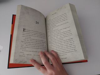 El chico salvaje (Wild Boy) (Spanish Edition)