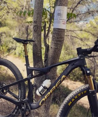 Orbea Oiz LTD 2023 100mm