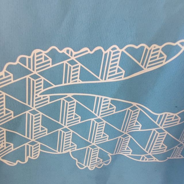 Conjunto Armani EA7 Ventus 7 & lacoste