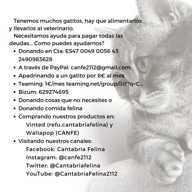 Cojín Decorativo Azul y Verde