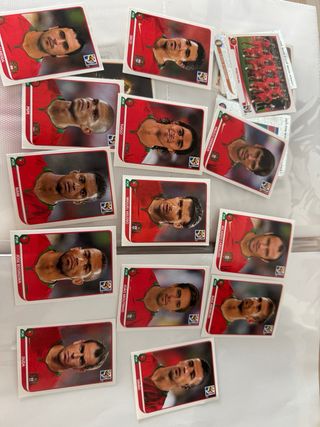 Cromos Panini Mundial 2010 España