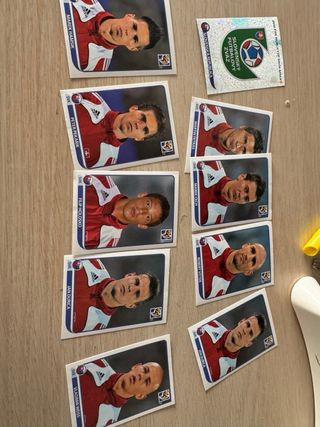 Cromos Panini Mundial 2010 España