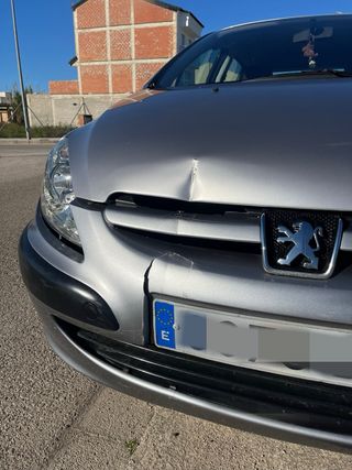 Peugeot 307 2001
