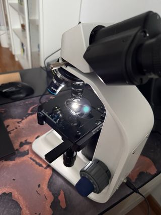 Microscopio Optika