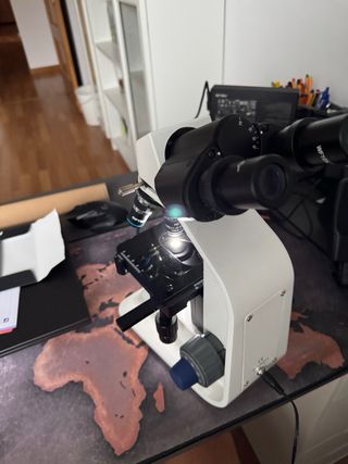 Microscopio Optika