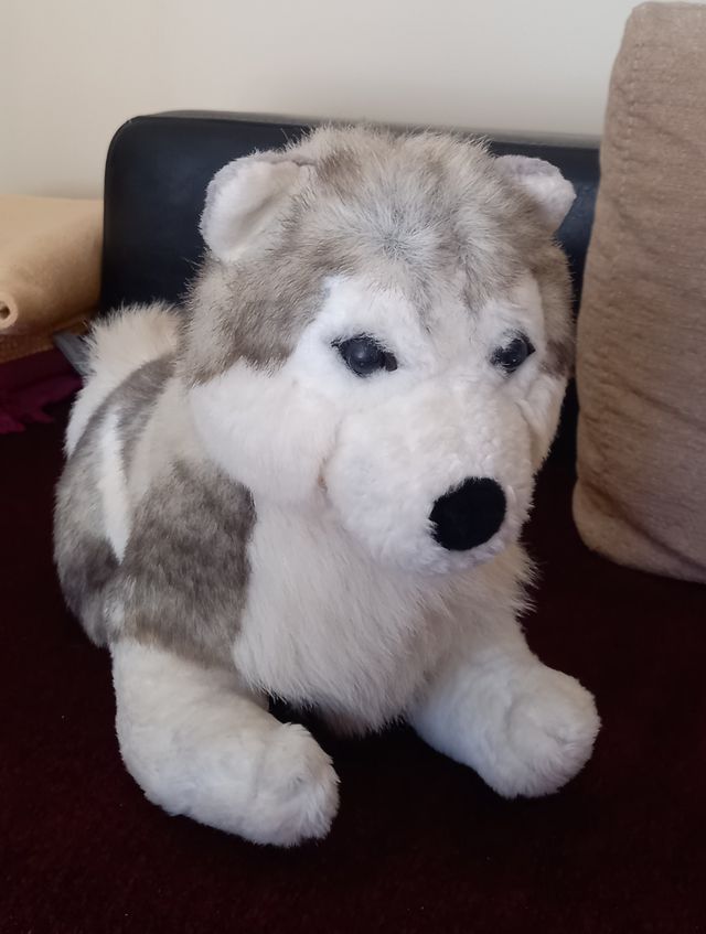 PELUCHE CACHORRO HUSKY