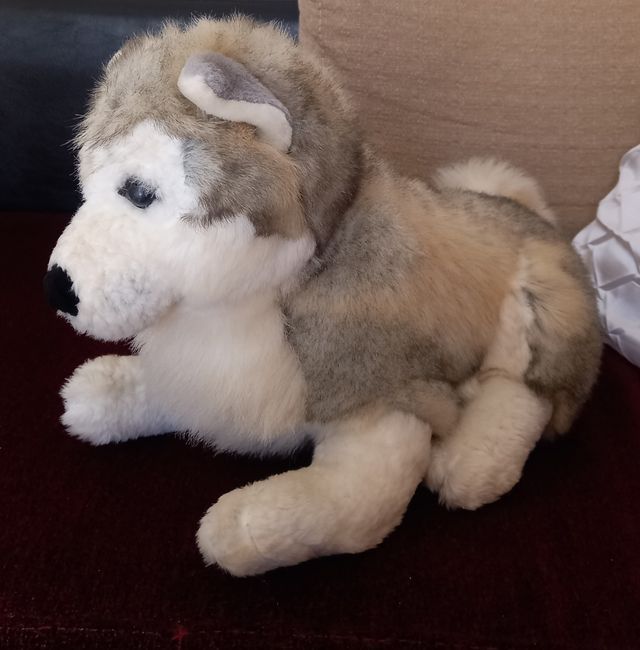 PELUCHE CACHORRO HUSKY