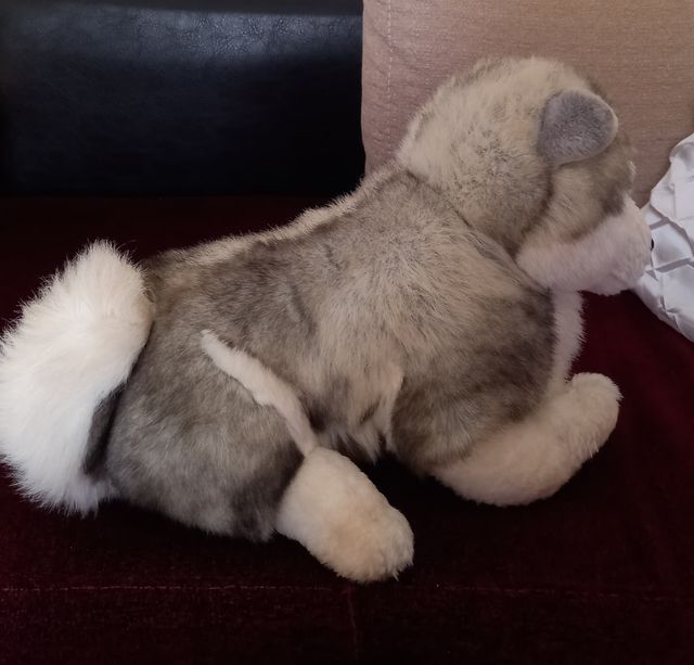 PELUCHE CACHORRO HUSKY
