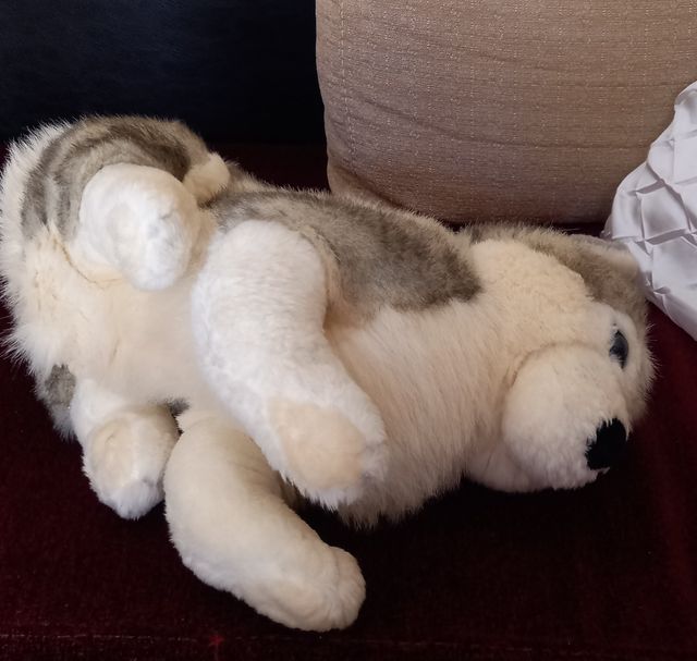 PELUCHE CACHORRO HUSKY