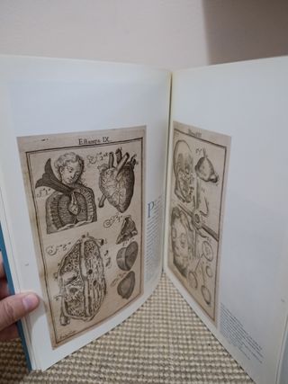 Arte y Carne. La anatomía a la luz de la Ilustr...