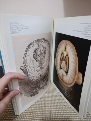 Arte y Carne. La anatomía a la luz de la Ilustr...