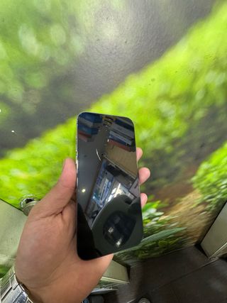 iPhone 13 Pro Max 256GB Gris Espacial