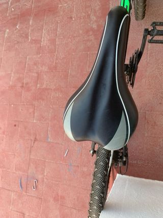 Bicicleta infantil 10-11 años