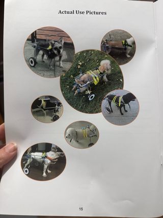 Sedia a rotelle per cani e gatti piccoli, regolabile