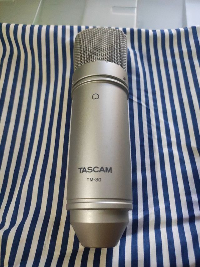Microfono Tascam TM-80