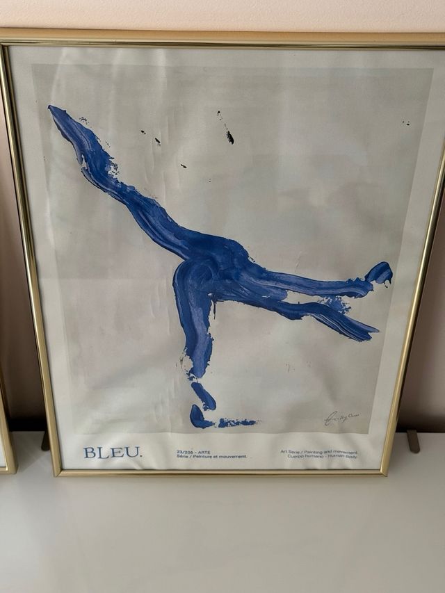 Cuadros Decorativos Florales y Abstractos