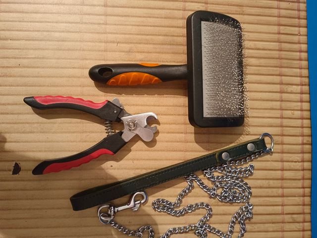 Cepillo, tijeras y cadena para perro