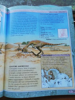 Set 6 libri per ragazzi + 2 libri gratis