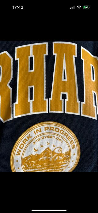 Sudadera Carhartt Azul