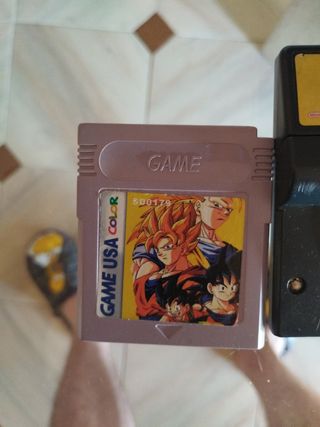Pokémon Pinball Game Boy Color
