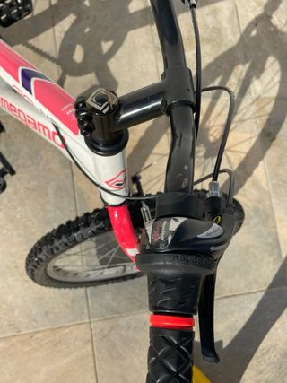 Bicicleta Megamo 20 Infantil