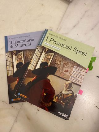 i promessi sposi