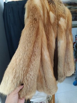 Abrigo tipo Zorro Canadá Talla L