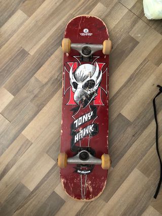 Skate Tony Hawk Birdhouse