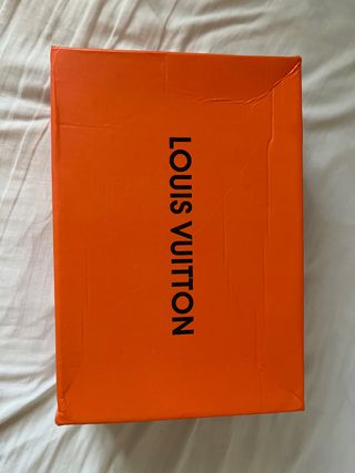 Zapatos Louis Vuitton Trainer 