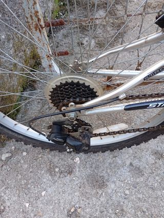Bicicleta de Montaña XTREM STRONG 24

