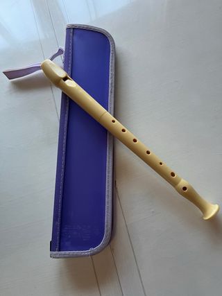 Flauta dulce con funda