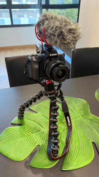 Canon EOS M50 + Objetivo EF-M 15-45mm