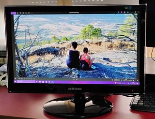 Monitor Samsung 22 Negro